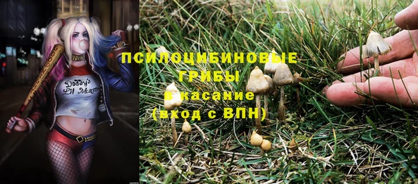 стафф Алзамай