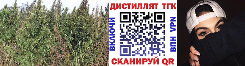 ТГК жижа  где можно купить наркотик  Рыбное 