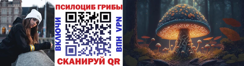 гидра зеркало  Рыбное  Псилоцибиновые грибы Cubensis 